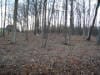 Kentucky Subdivision Developments — Forest in Murray, KY