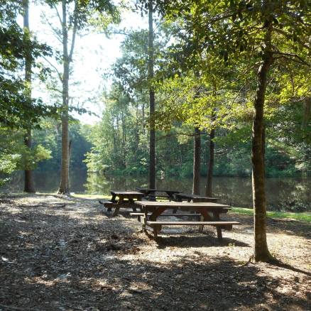 Picnic tables near a body of water, set in a wooded area. Sunlight streams through trees.