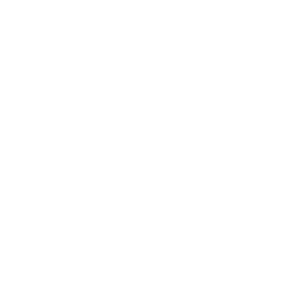 dummy image
