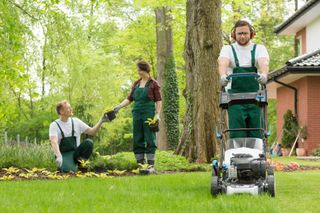 Lawn Care — Lawn Maintenace in Brownsville, TX Lawn Care — Lawn Maintenace in Brownsville, TX