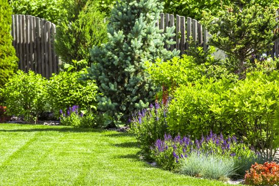 Lawn Care — Lawn Maintenace in Brownsville, TX Lawn Care — Lawn Maintenace in Brownsville, TX