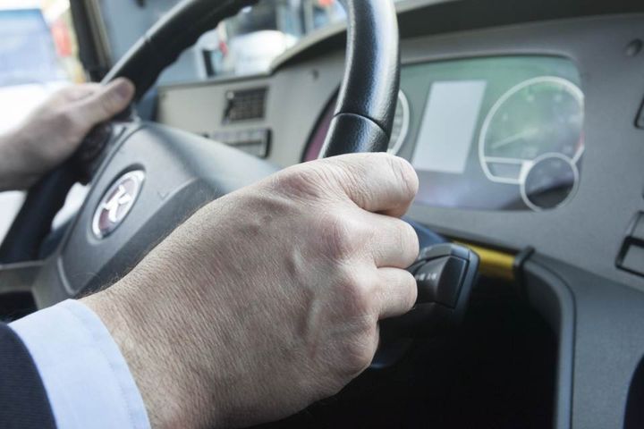 Mani sul volante