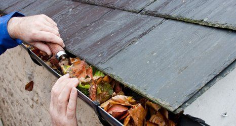 gutter cleaning