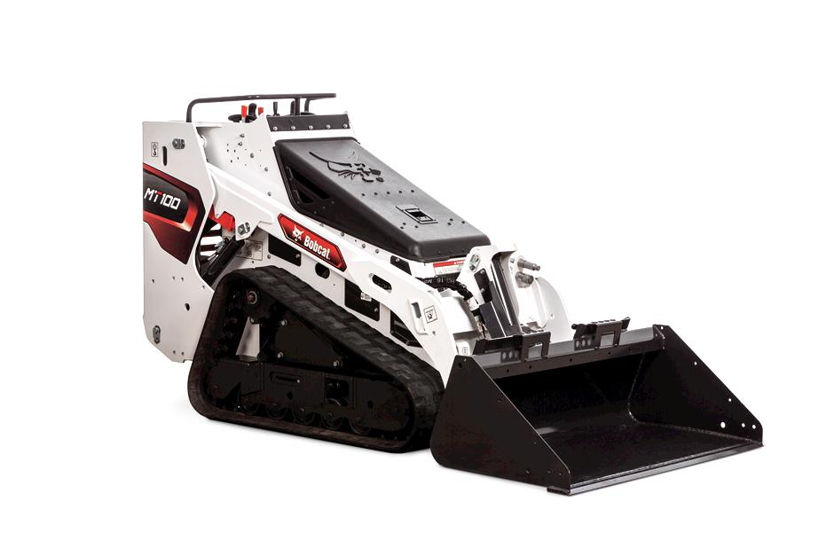 Bobcat
