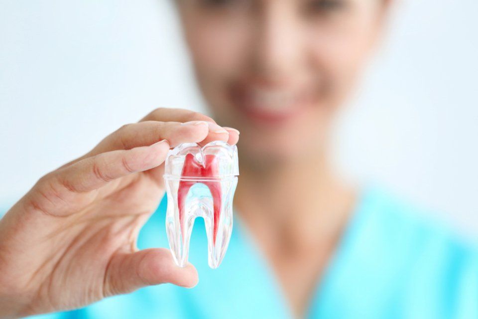 dente sano