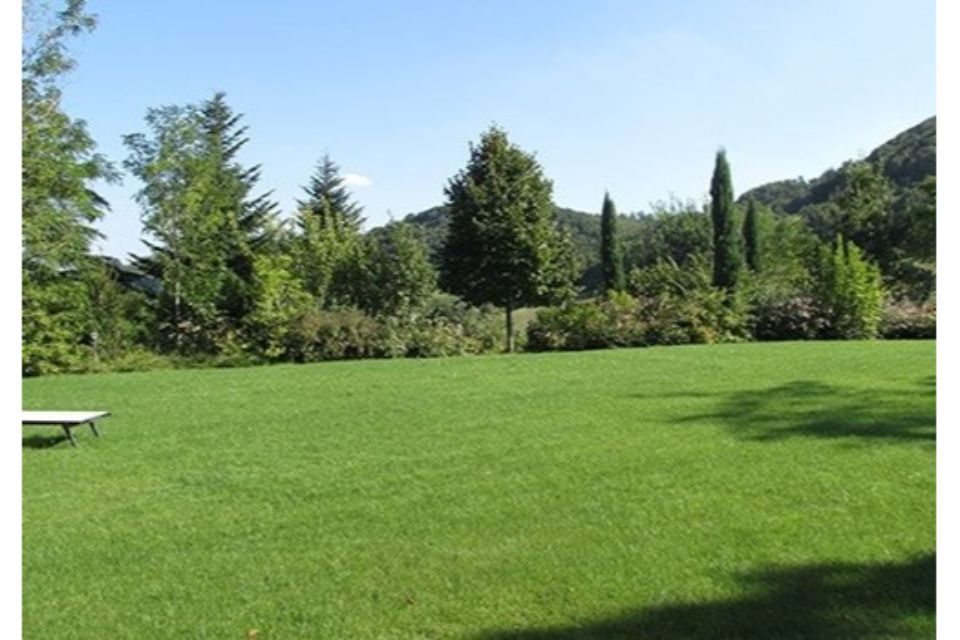 spazio verde