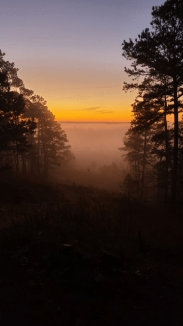 Landscape 1