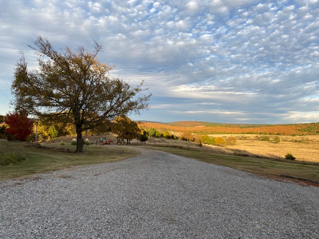 Landscape 2