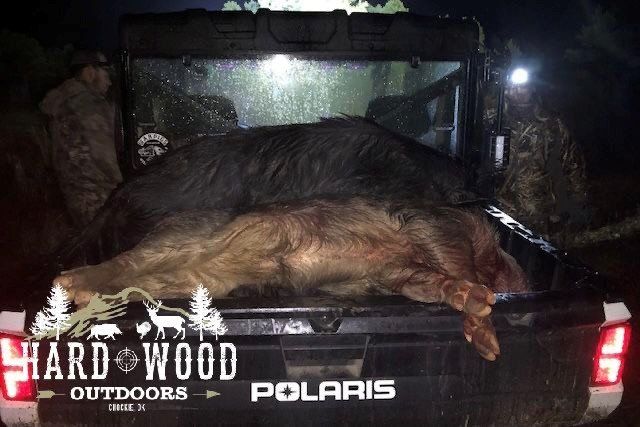group hunt 8