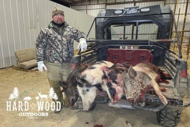 group hunt 9
