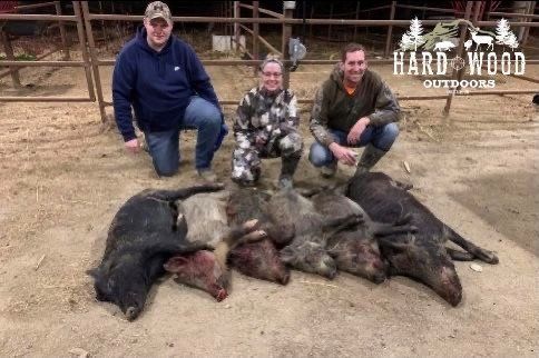 group hunt 17