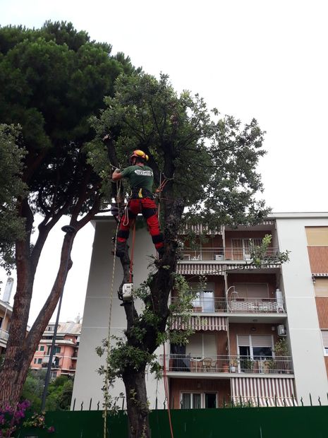 giardino con brecciolino