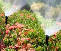 Fertigation System Guide Fertigation System Guide