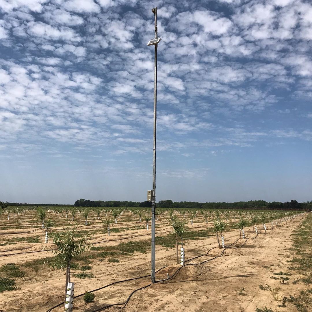 Tall weather monitoring tower in an orchard, with young trees and a cloudy sky.