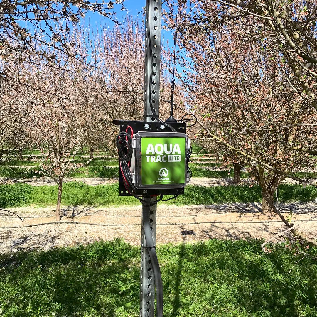 Aqua Tracert sensor in orchard, monitoring plant health. Green sign, trees in bloom, sunny day.