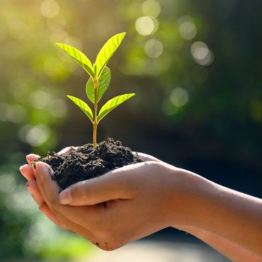 Protect the Planet Protect the Planet