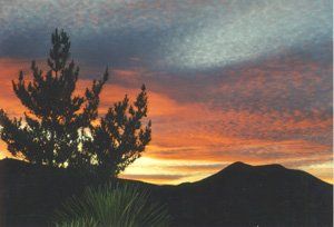 new mexico sunset