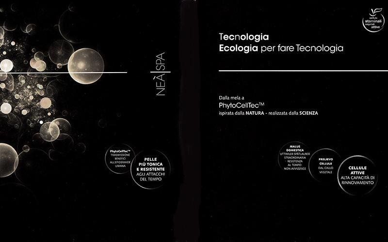 Brochure con logo NEASIX e testo