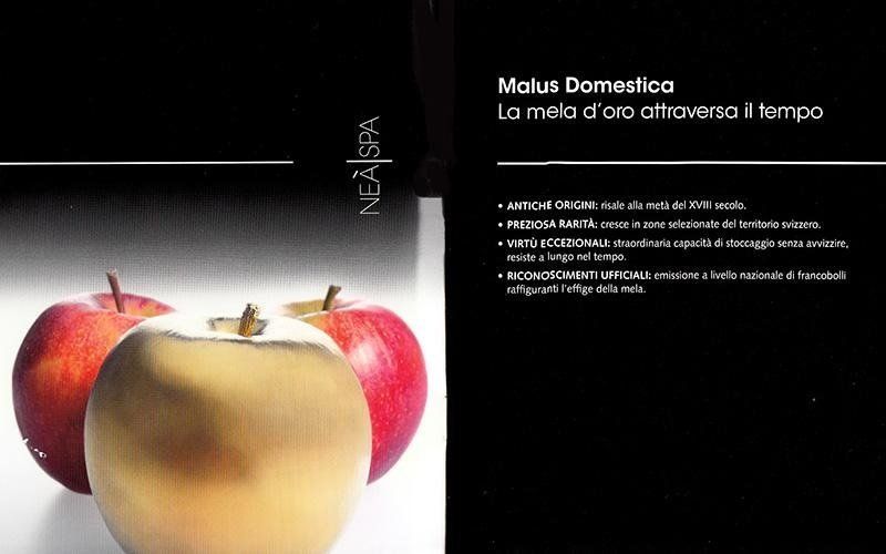 Three apples, one golden, two red, on a black background. Text: