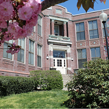 The bulfinch