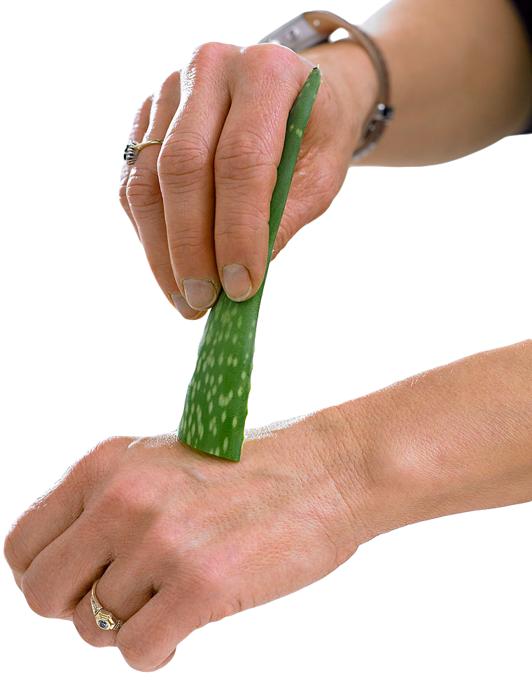 Coup de soleil, petite brûlure, piqûre d'insecte, démangeaison, irritation, inflammation, coupure, hydratation du visage et du corps, masque pour les cheveux...  SLOW COSMÉTIQUE Le gel hydratant aloe vera se mélange avec n'importe quelle huile végétale ou essentielle