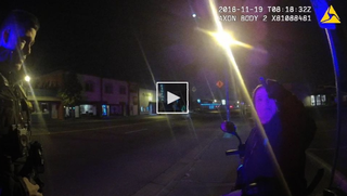 Video Preview -Handicapped woman arrested