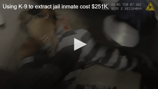 Video Preview - K-9 Attack Case