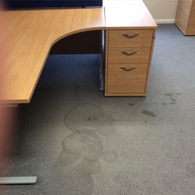Carpet cleaning and maintenance