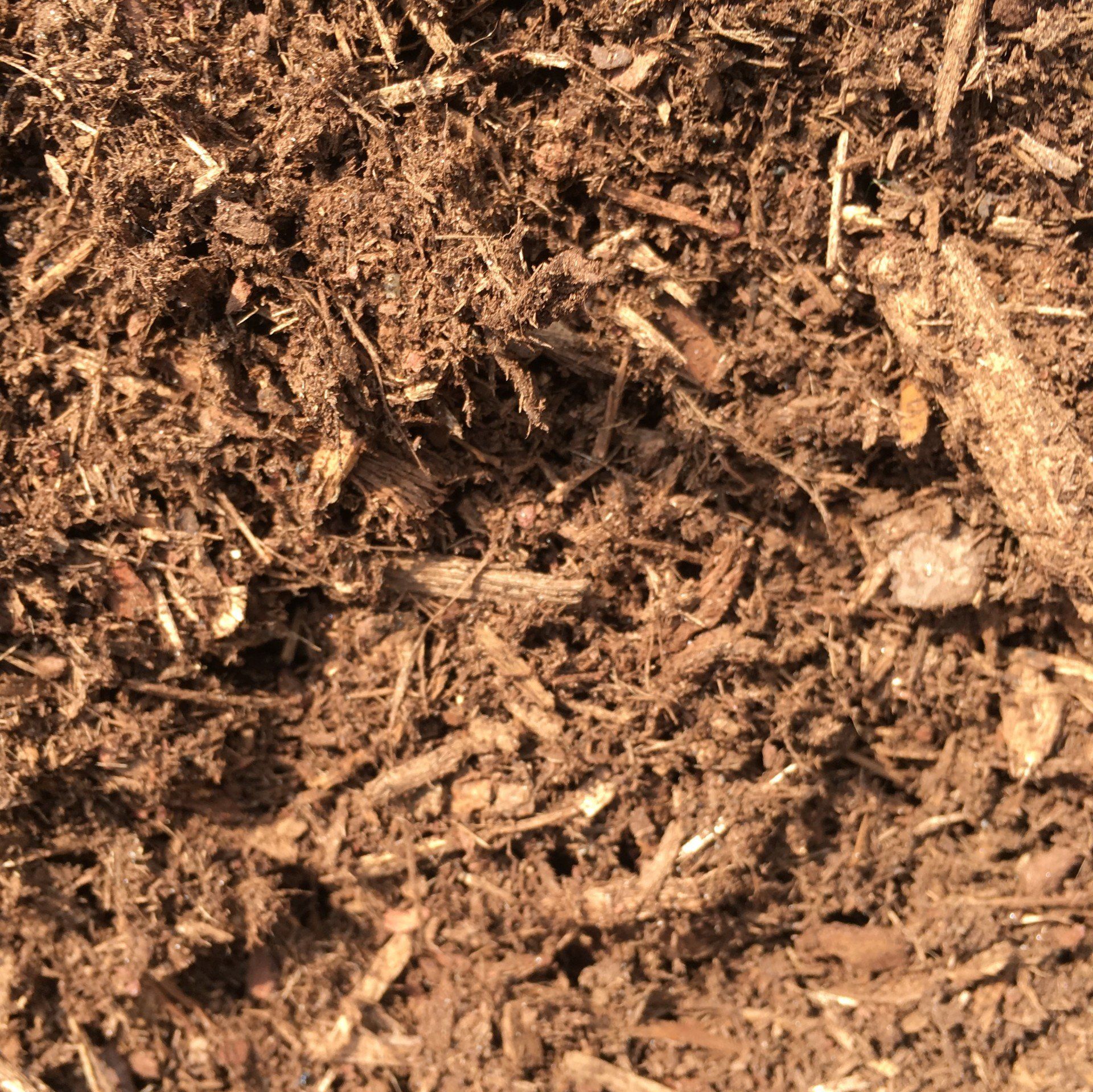 Pine Garden Mulch