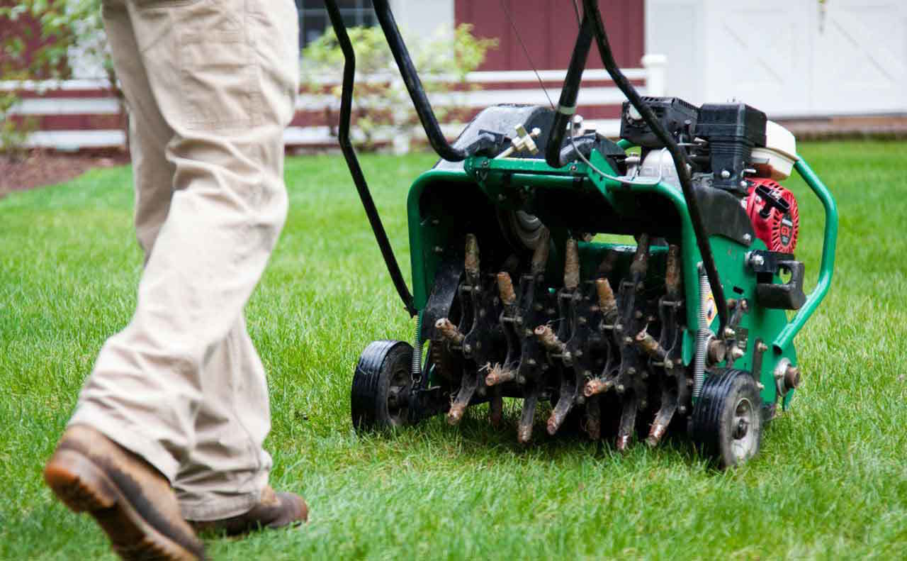 Person aerating a green lawn with a gasoline-powered aerator.
