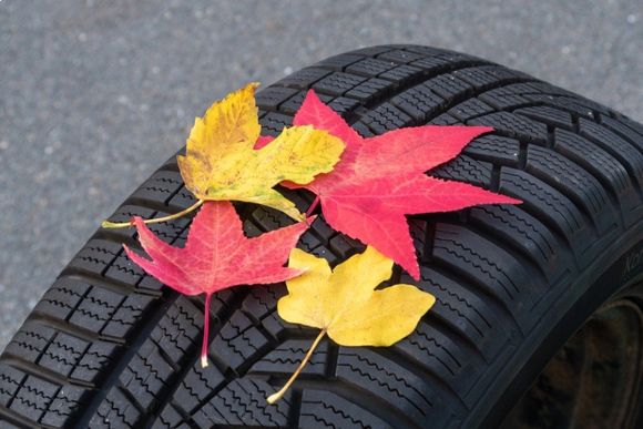 gomme invernali
