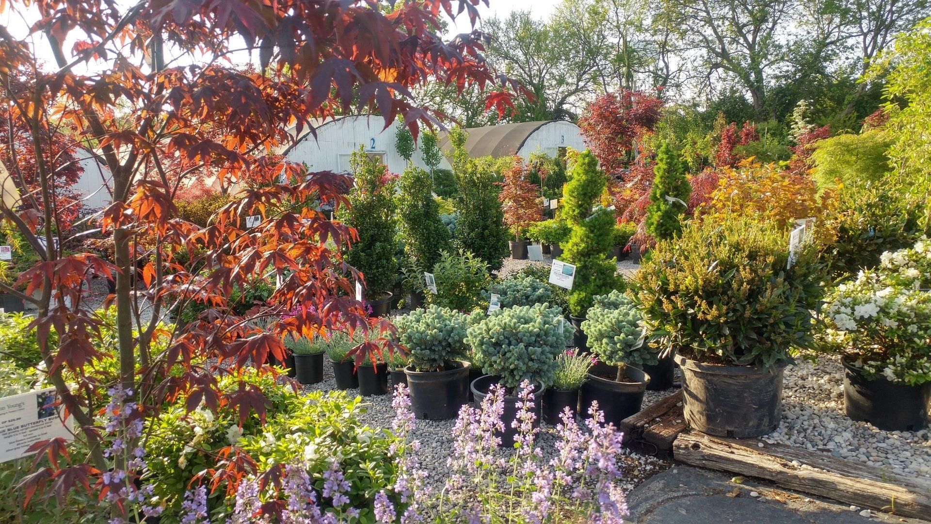 Garden Center