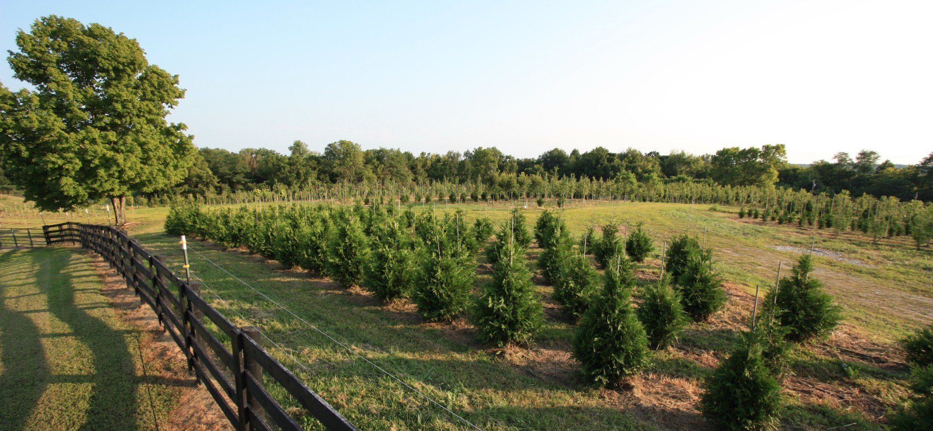 Glynn Young's Landscaping & Nursery Center