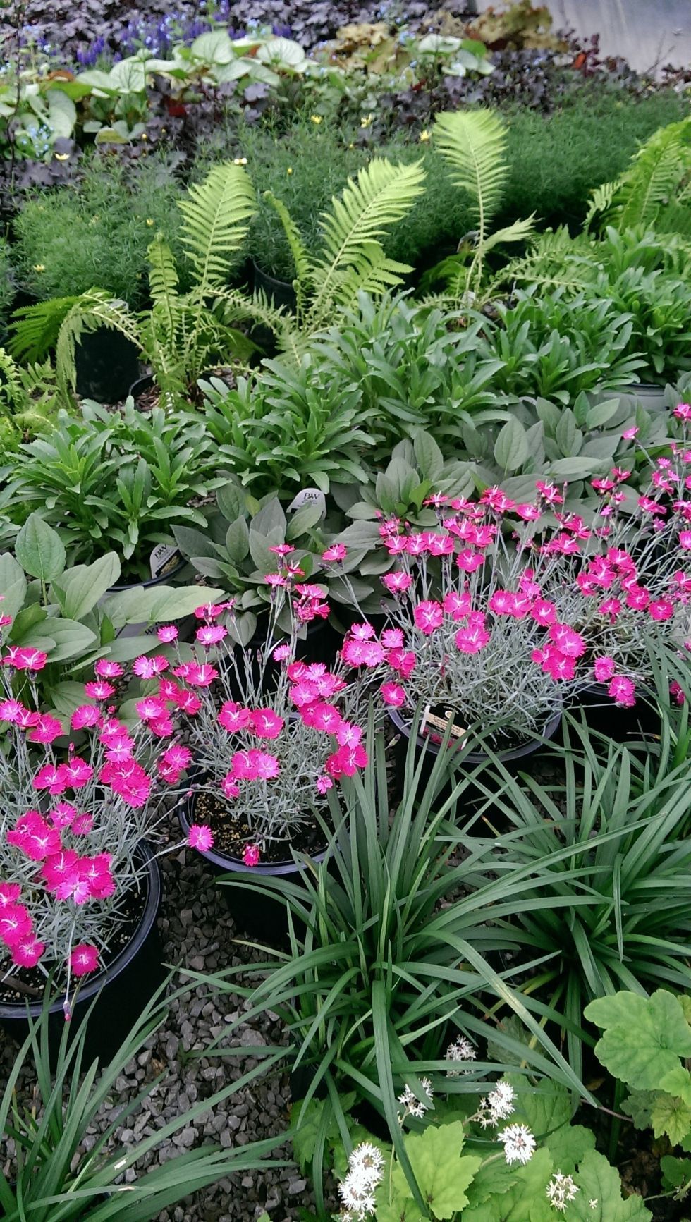 Glynn Young's Landscaping & Nursery Center