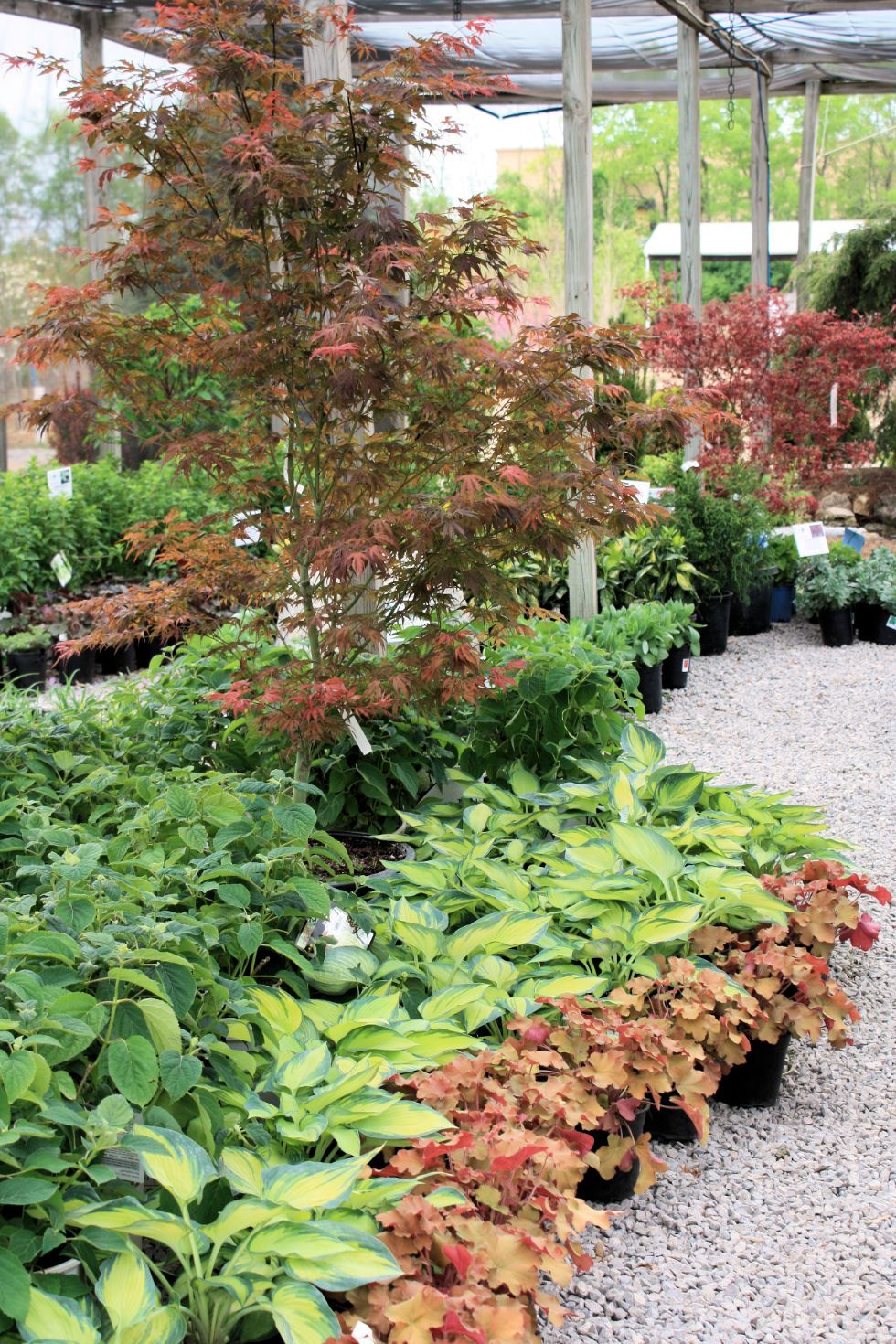 Glynn Young's Landscaping & Nursery Center
