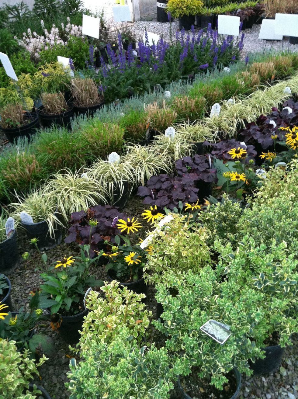 Glynn Young's Landscaping & Nursery Center