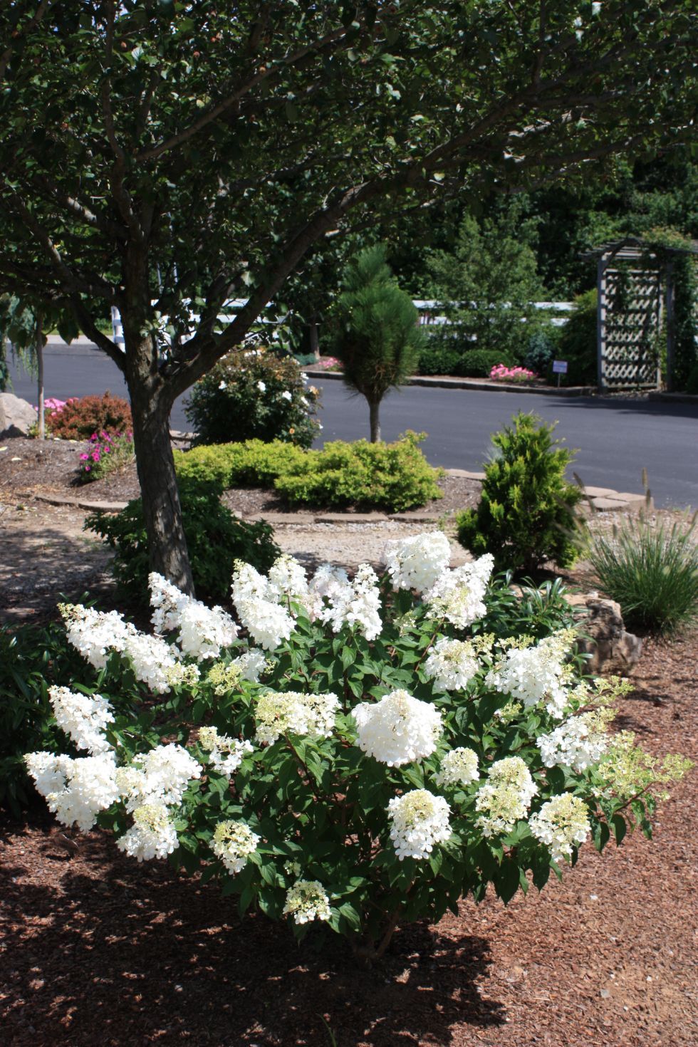 Glynn Young's Landscaping & Nursery Center