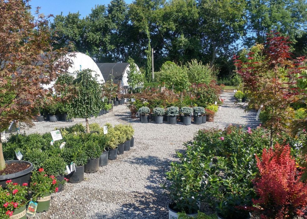 Glynn Young's Landscaping & Nursery Center