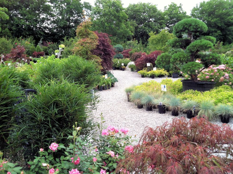 Glynn Young's Landscaping & Nursery Center
