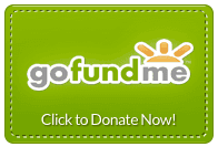 Go Fund Me - Grandma Bullied & Sued For Her Name