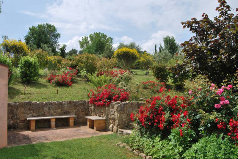 Alberi e piante nel giardino a Ostra Vetere