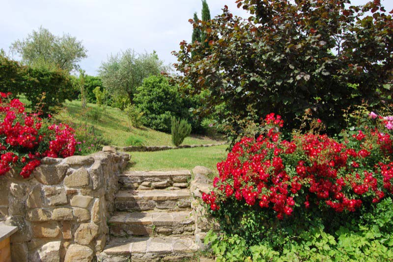 Vista di un giardino a Ostra Vetere