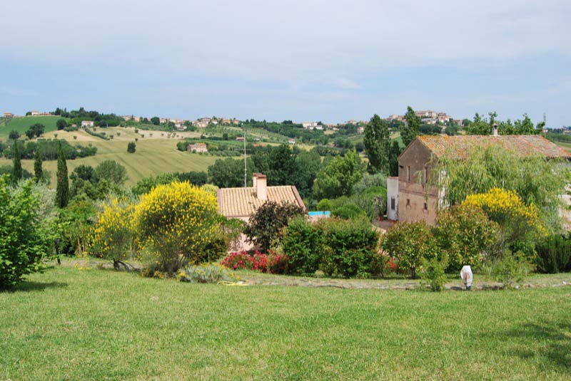 Alberi e piante nel giardino a Ostra Vetere