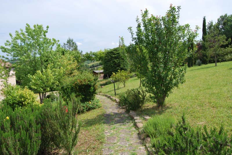 Alberi e piante nel giardino a Ostra Vetere