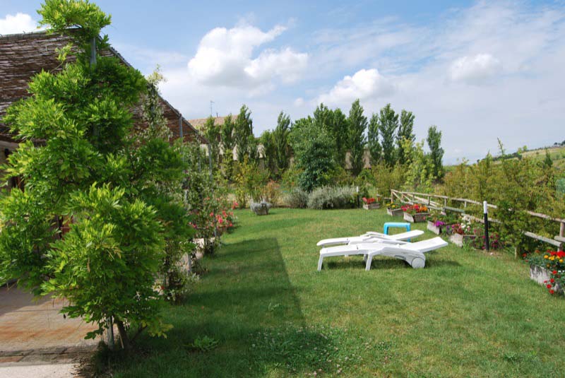 Alberi e piante nel giardino a Ostra Vetere