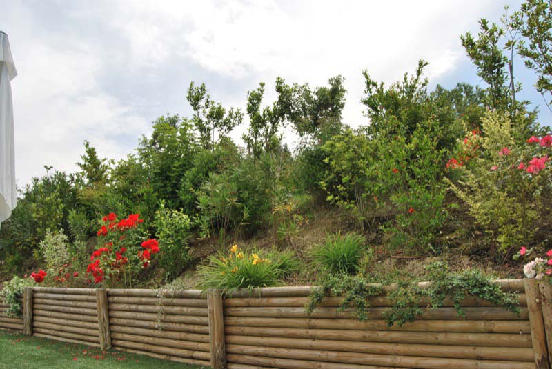 Alberi e piante nel giardino a Ostra Vetere