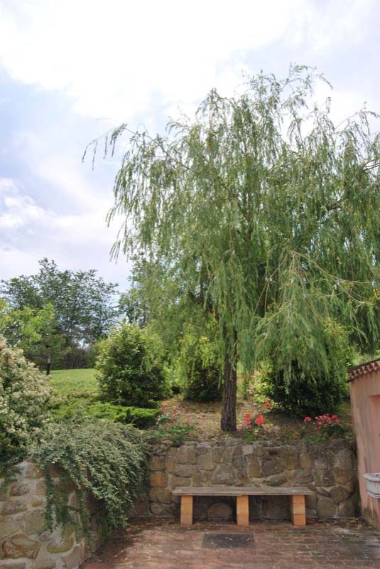 Alberi e piante nel giardino a Ostra Vetere