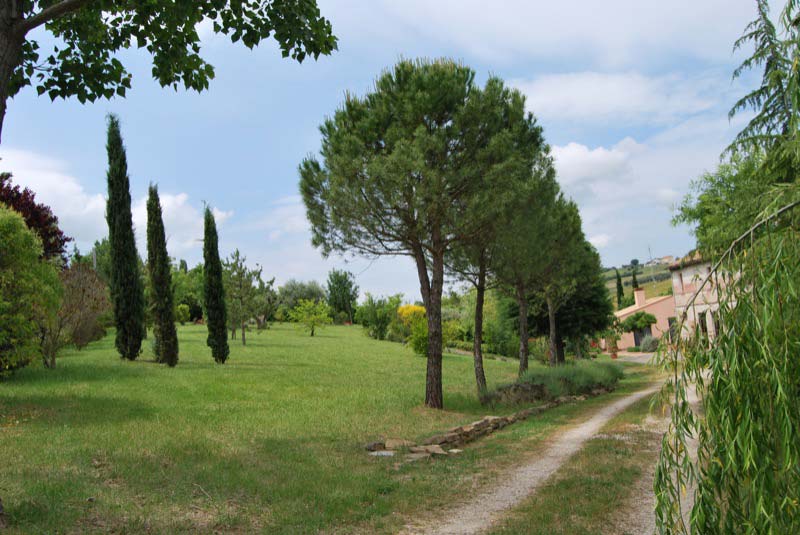 Alberi e piante nel giardino a Ostra Vetere
