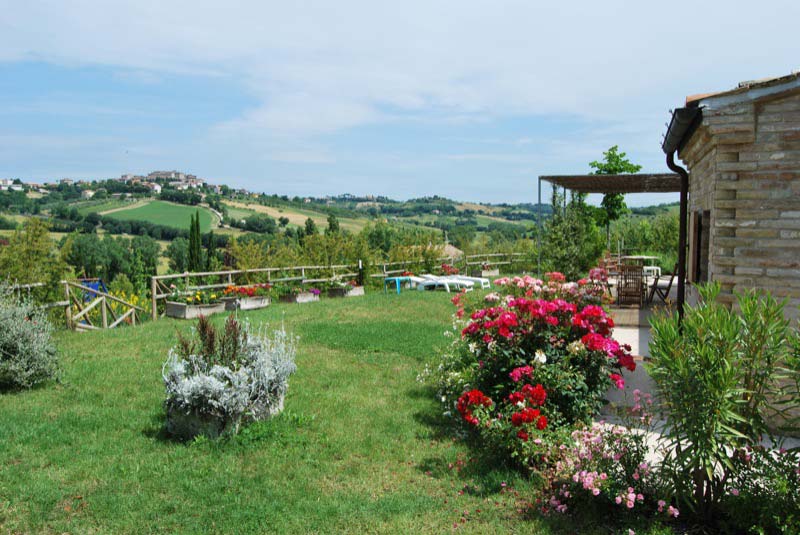 Piante con fiori nel giardino a Ostra Vetere