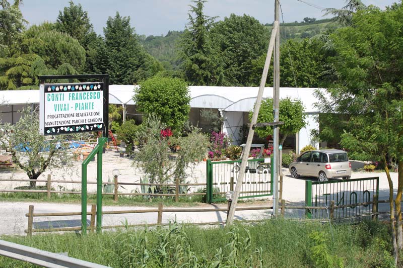 Vivaio principale di Conti Francesco Vivai - Piante a Ostra Vetere